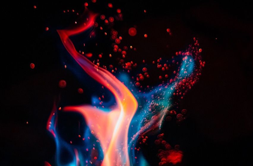 Fire Garden Exhibition