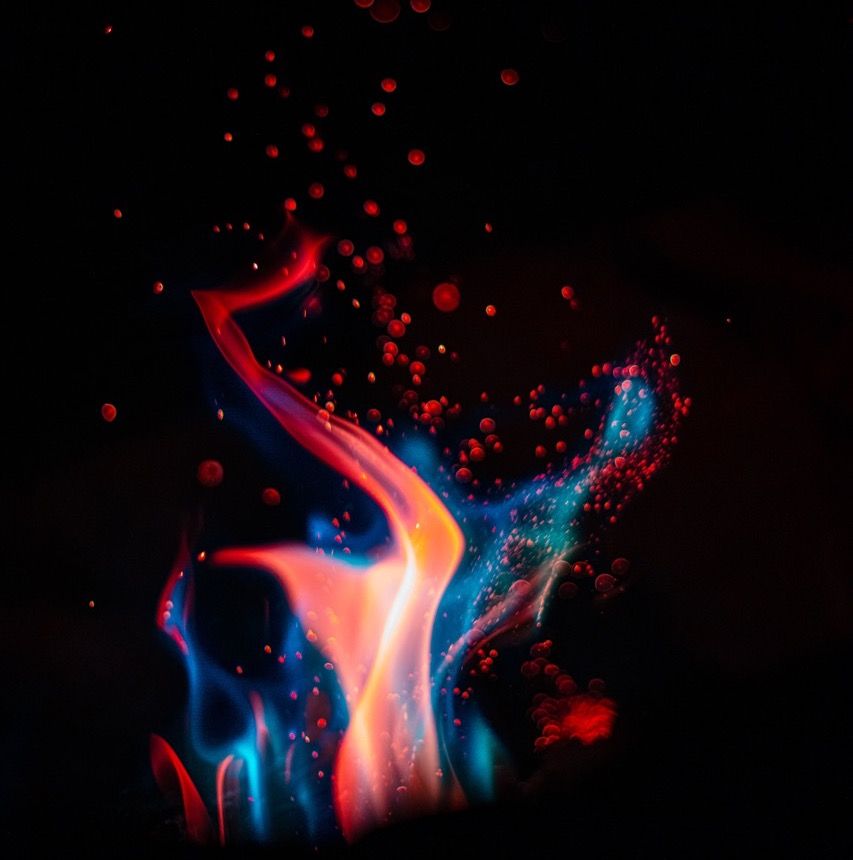 Fire Garden Exhibition