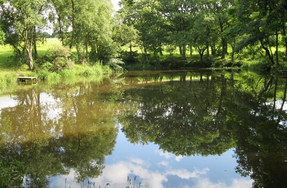Explore nature at Gawthorpe Hall 