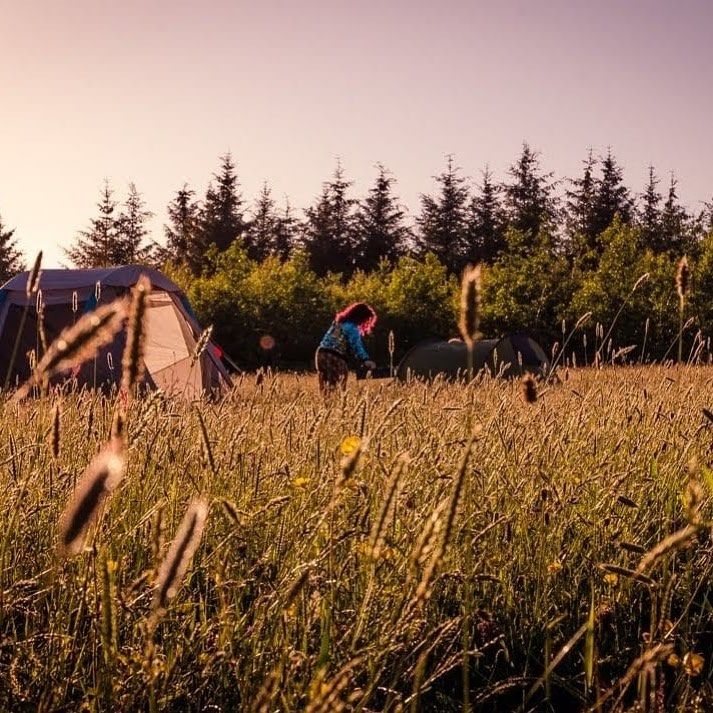 SeekOut Arts & Music Festival 2026