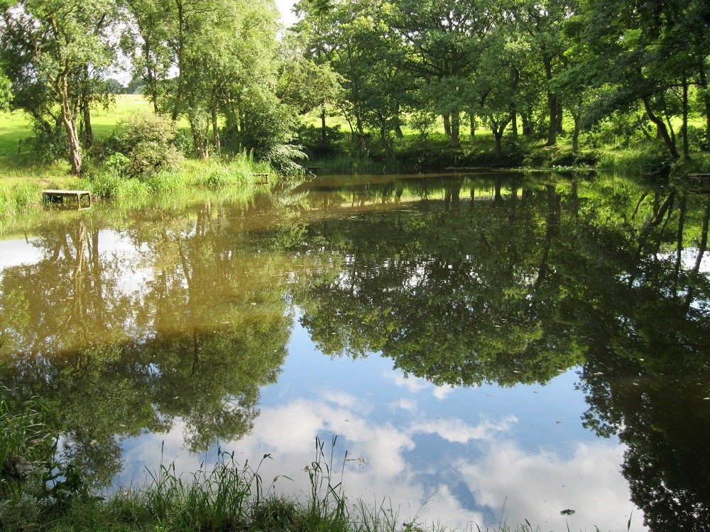 Explore nature at Gawthorpe Hall 