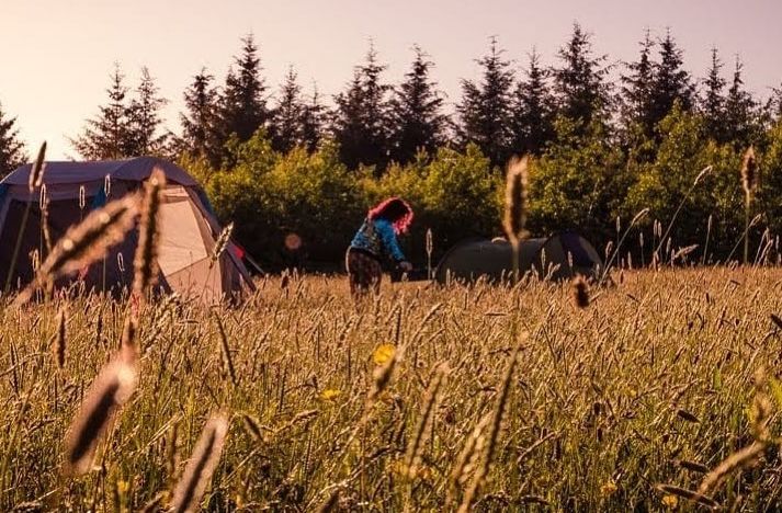 SeekOut Arts & Music Festival 2026