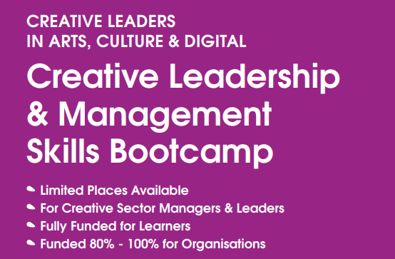 Creative Leadership Programme in Arts, Culture & Digital (80-100% Funded)
