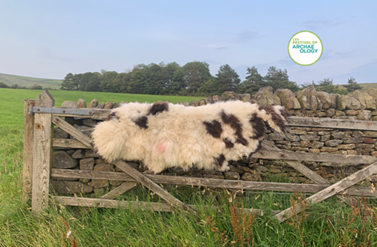 Historic Handcrafts: Peg Loom Talk & Taster with Mountain Croft Felted Fleece