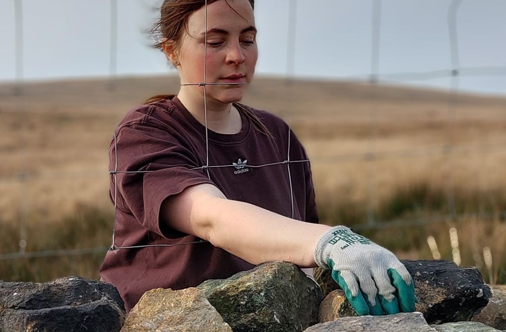 Empowering Women: Champions of Upland Farming