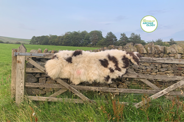 Historic Handcrafts: Peg Loom Talk & Taster with Mountain Croft Felted Fleece
