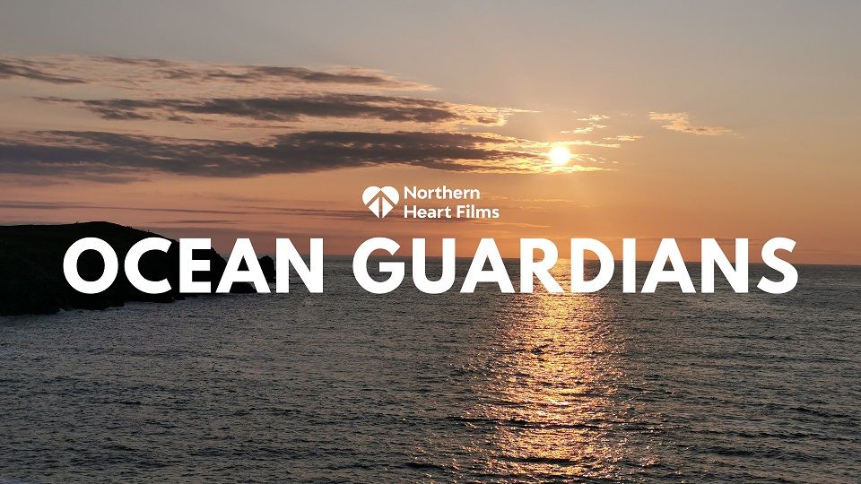 Northern Heart Films collaborate with Quorn to explore the future of food