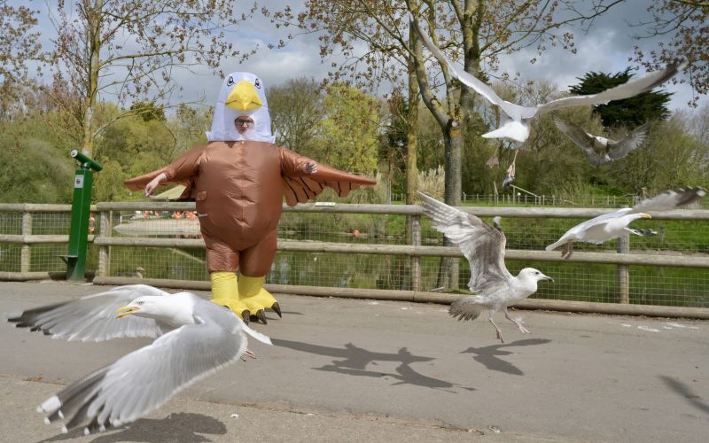 ICG Agency flies into action for viral Blackpool Zoo story